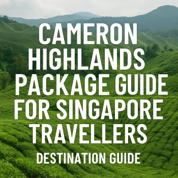 Cameron Highlands Package Guide for Singapore Travellers (Destination Guide)
