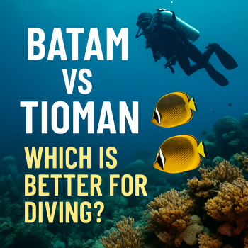 Batam vs Tioman: Which is Better for Diving?