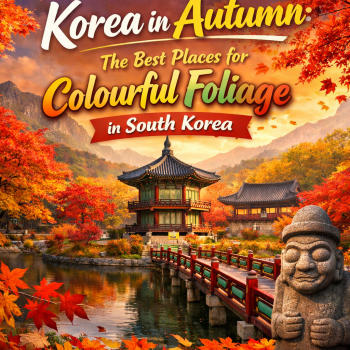Korea in Autumn: The Best Places for Colourful Foliage in South Korea
