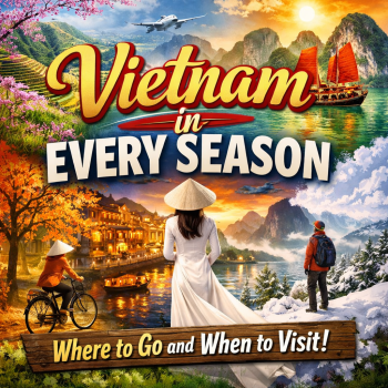 Vietnam in Every Season: Where to Go and When to Visit