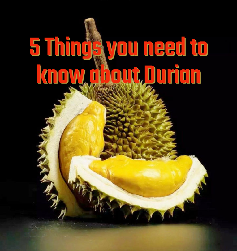 5 Things you need know about Durian