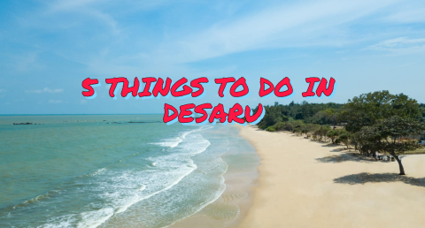 5 Things To Do In Desaru