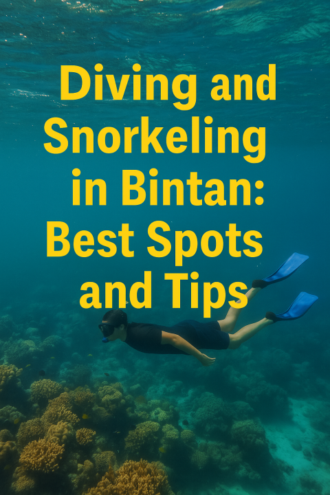 Diving and Snorkeling in Bintan: Best Spots and Tips