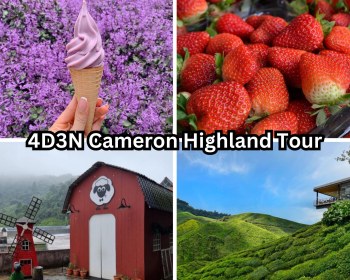 Malaysia | 4D3N Cameron Highland Delight Tour
