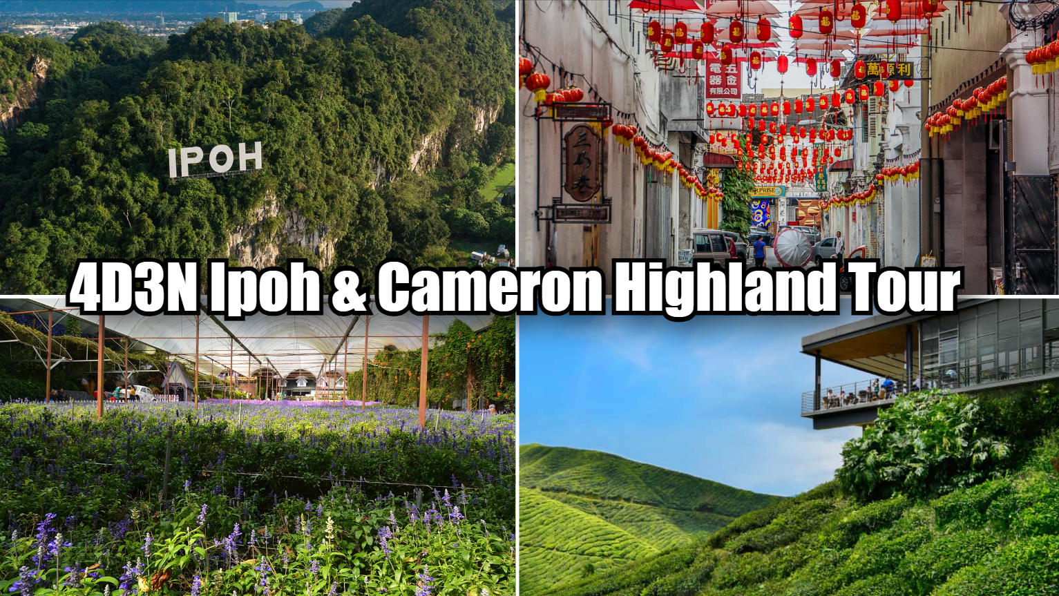 Malaysia | 4D3N Ipoh & Cameron Highland Tour
