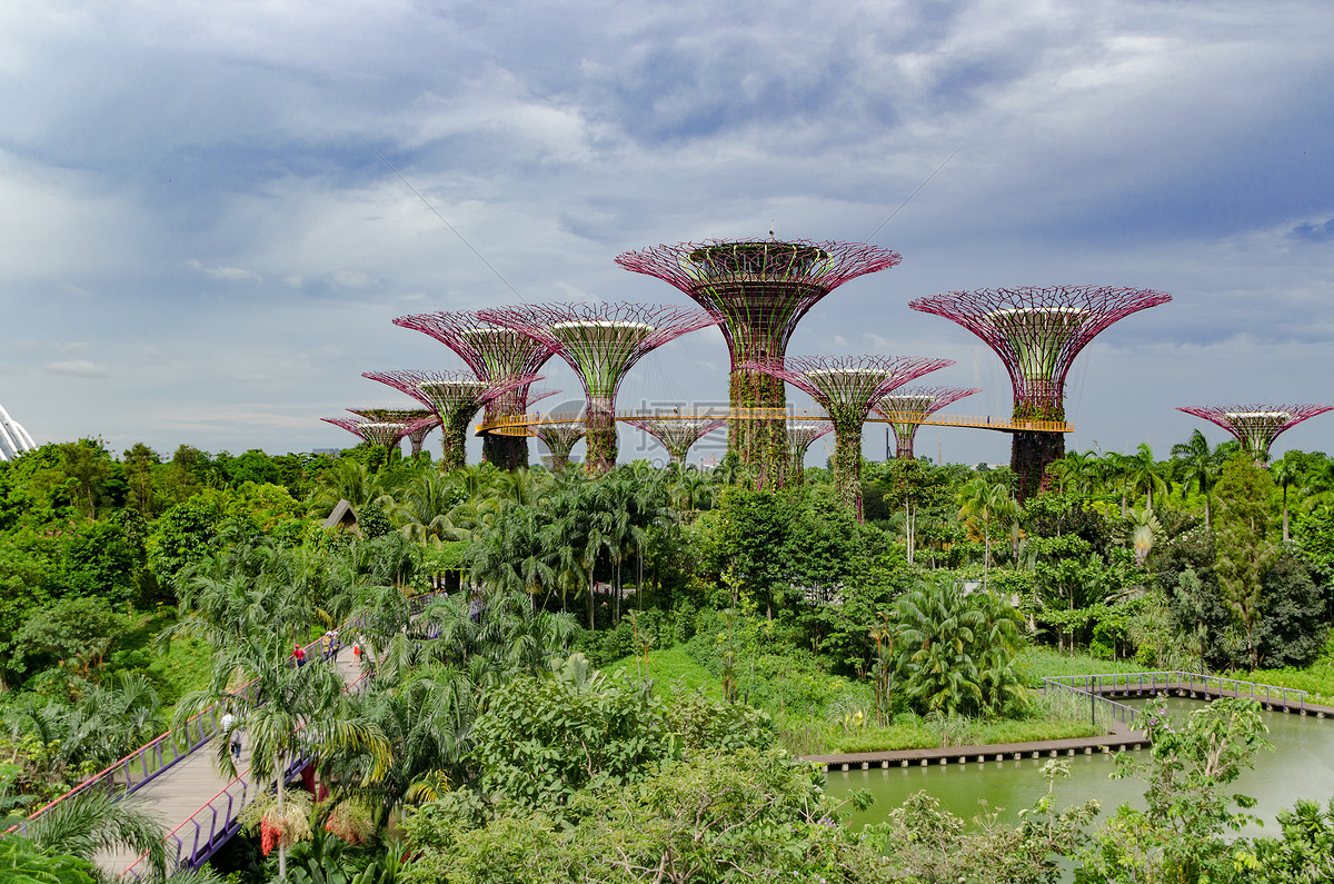 新加坡滨海湾花园 Gardens by the Bay